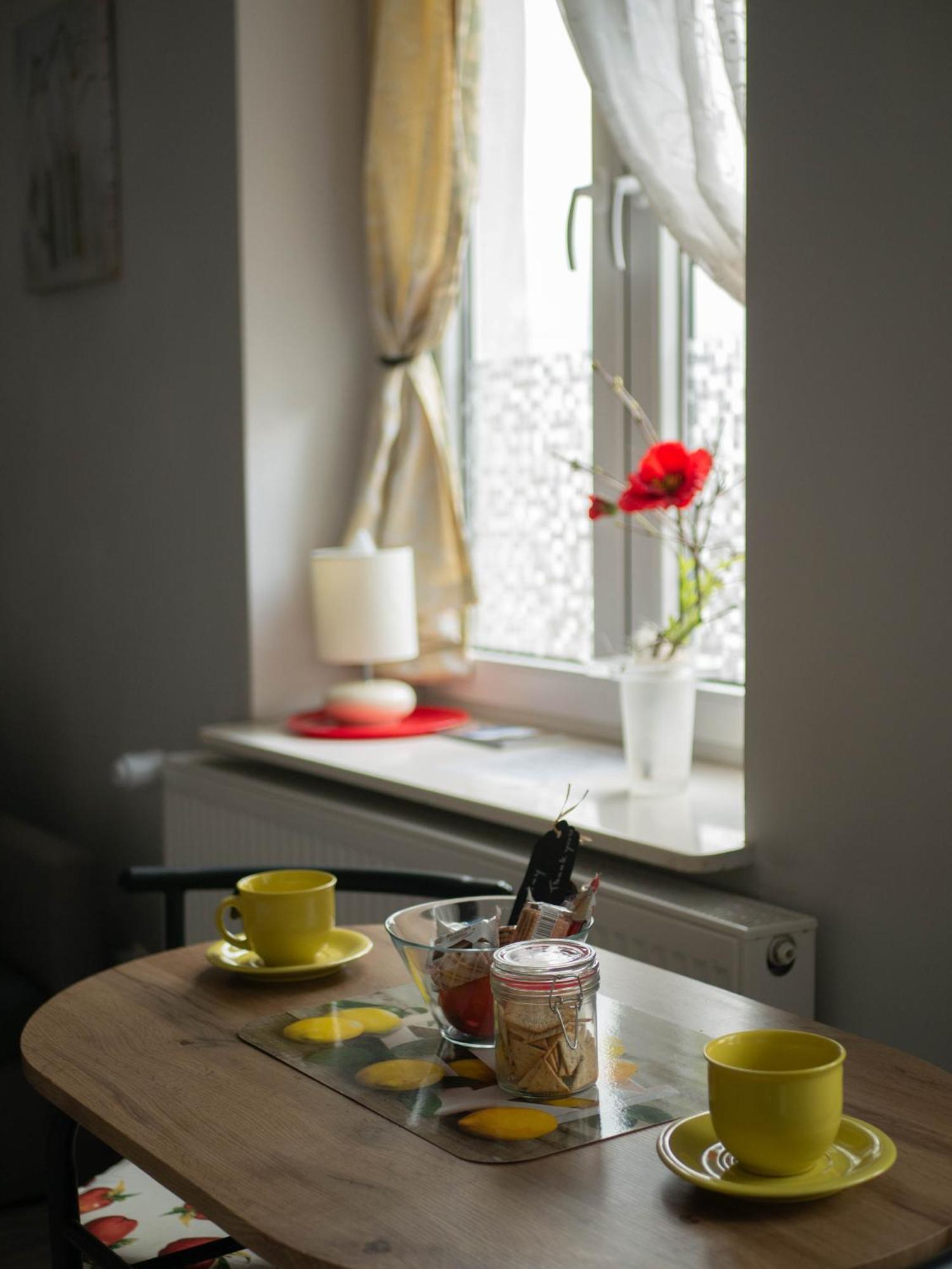 Apartament Przy Synagodze Przemyśl Zewnętrze zdjęcie